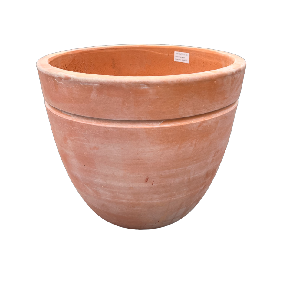 Terracotta Egg Pot w/Line