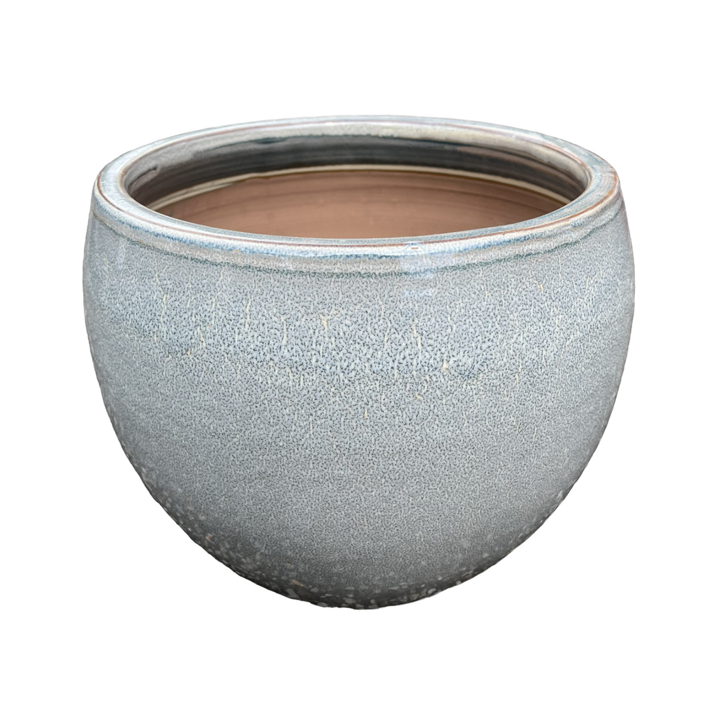 Assorted Luna Pot