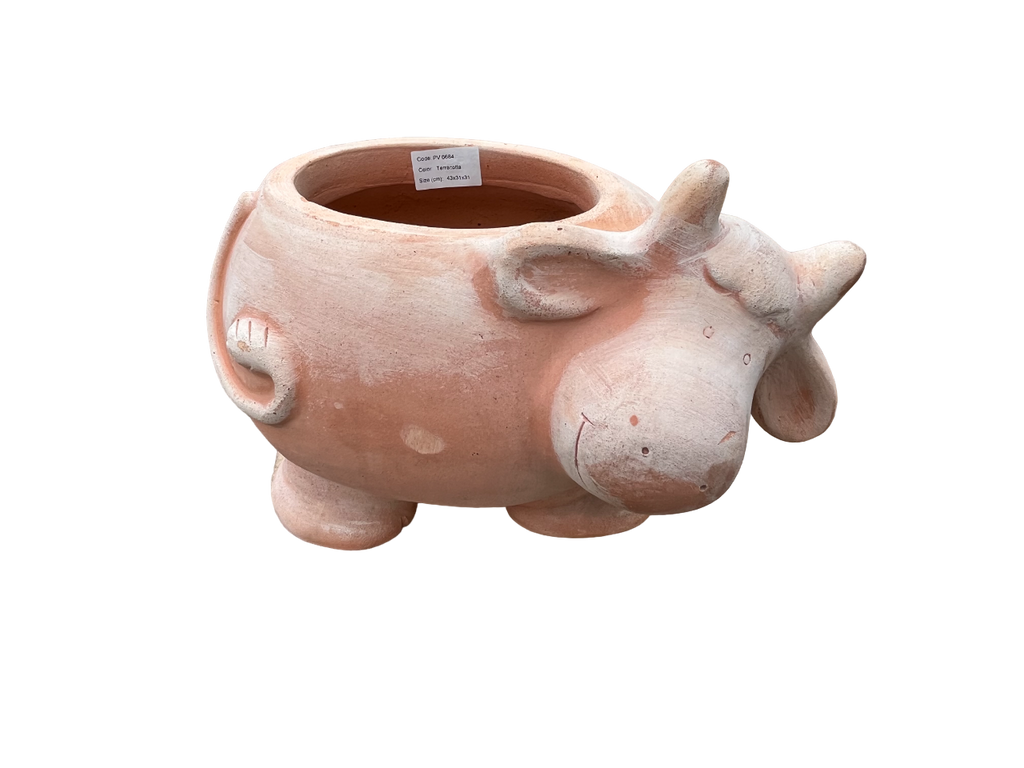 Terracotta Cow Pot