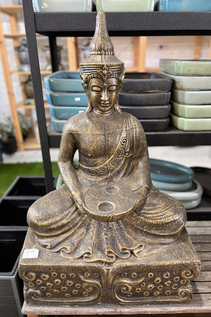 Sitting Buddha Yin Yang