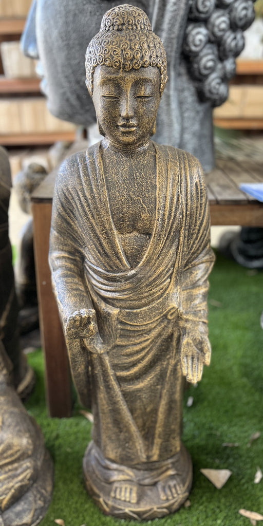 Standing Buddha Blessing
